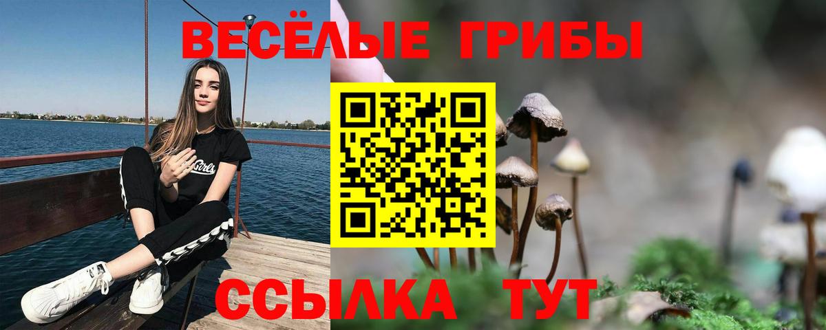 Галлюциногенные грибы MAGIC MUSHROOMS Котовск